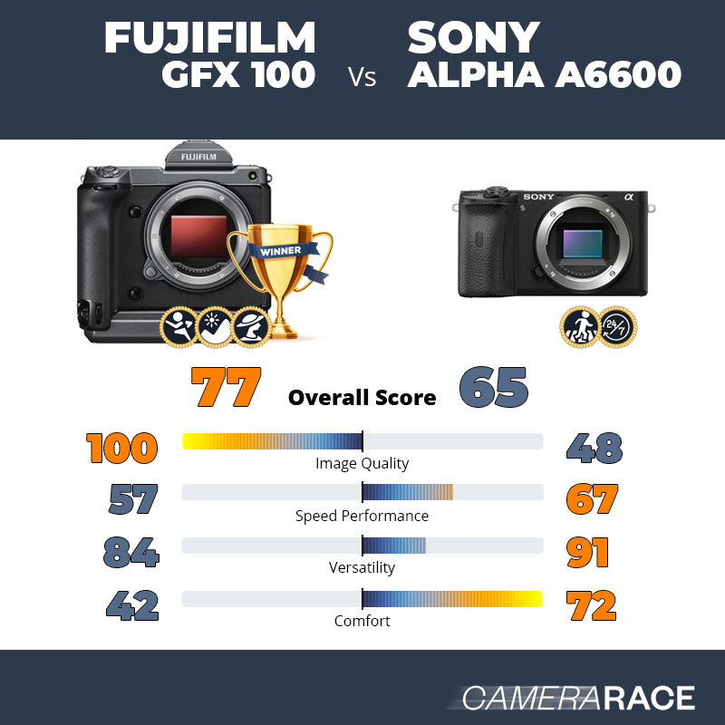 Le Fujifilm GFX 100 est-il mieux que le Sony Alpha a6600 ?