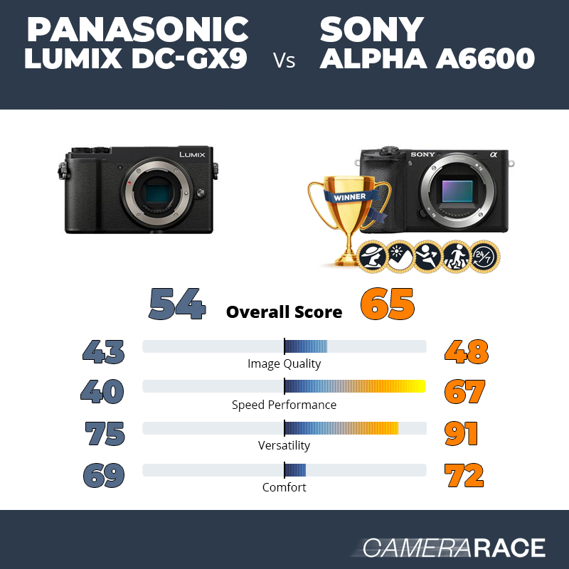 Le Panasonic Lumix DC-GX9 est-il mieux que le Sony Alpha a6600 ?