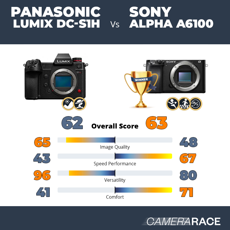 Panasonic Lumix DC-S1H vs Sony Alpha a6100, which is better?