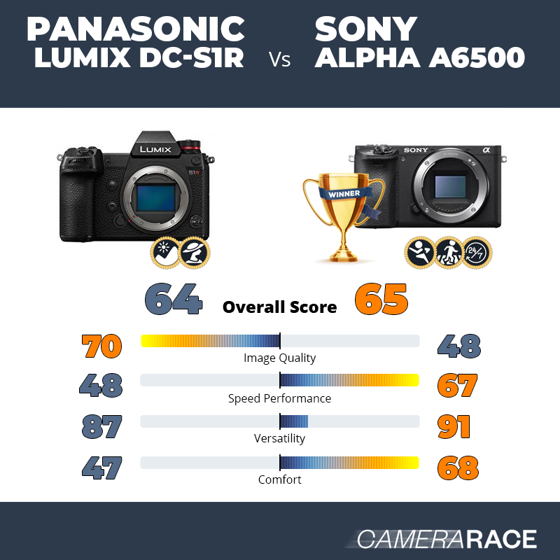 ¿Mejor Panasonic Lumix DC-S1R o Sony Alpha a6500?