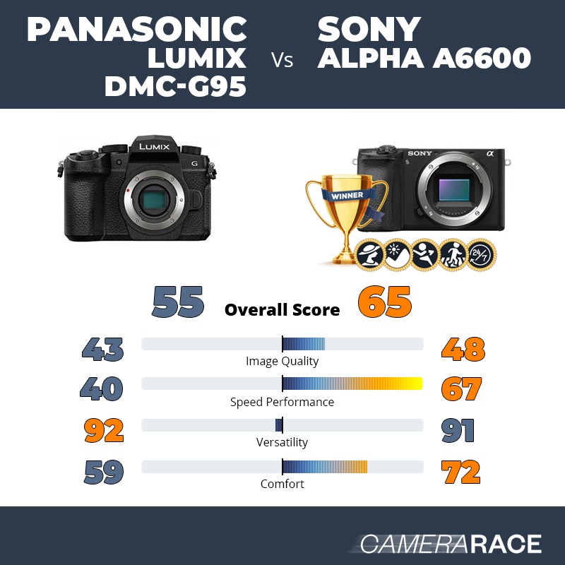 Le Panasonic Lumix DMC-G95 est-il mieux que le Sony Alpha a6600 ?
