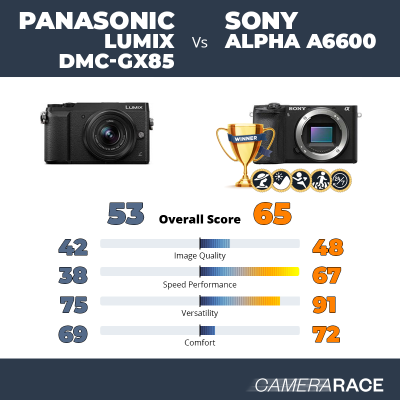 Le Panasonic Lumix DMC-GX85 est-il mieux que le Sony Alpha a6600 ?