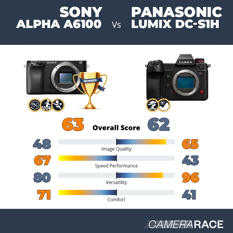Sony Alpha a6100 vs Panasonic Lumix DC-S1H, which is better?