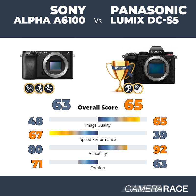 Sony Alpha a6100 vs Panasonic Lumix DC-S5, which is better?