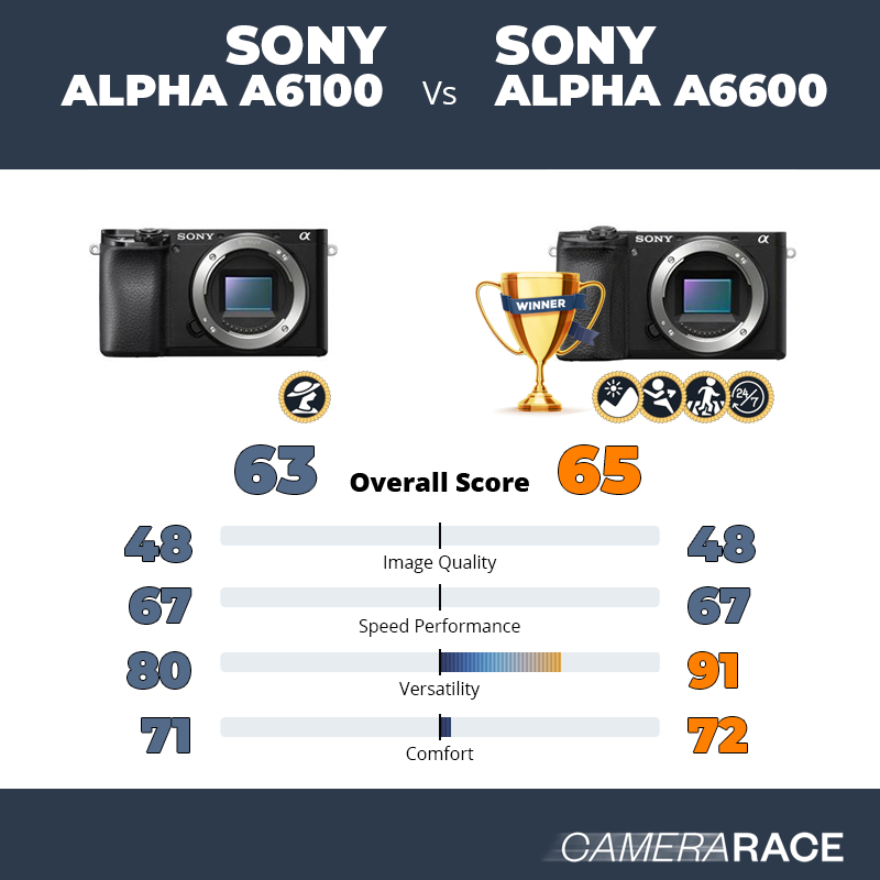 Le Sony Alpha a6100 est-il mieux que le Sony Alpha a6600 ?