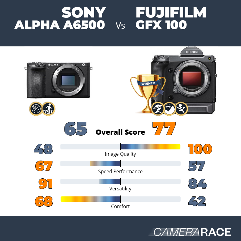 Le Sony Alpha a6500 est-il mieux que le Fujifilm GFX 100 ?