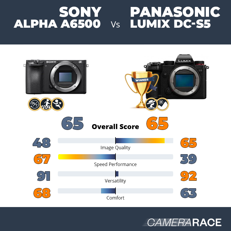 Le Sony Alpha a6500 est-il mieux que le Panasonic Lumix DC-S5 ?