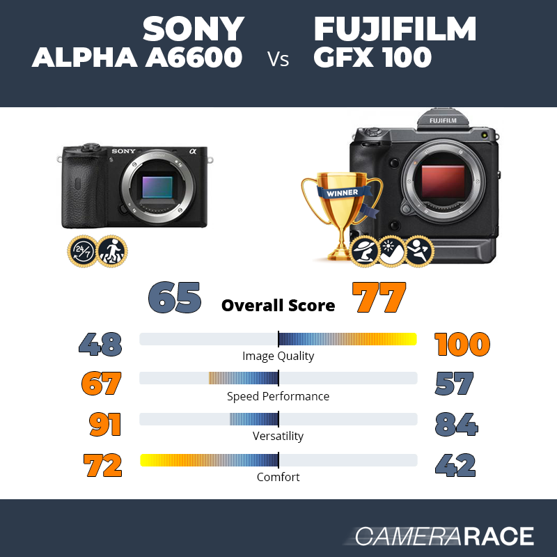 ¿Mejor Sony Alpha a6600 o Fujifilm GFX 100?