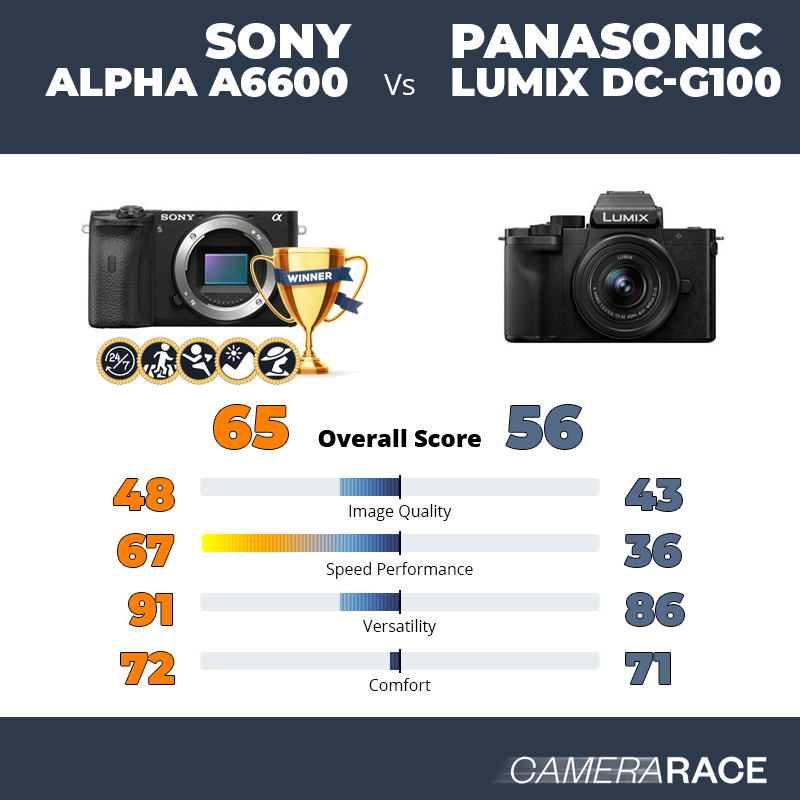 Le Sony Alpha a6600 est-il mieux que le Panasonic Lumix DC-G100 ?