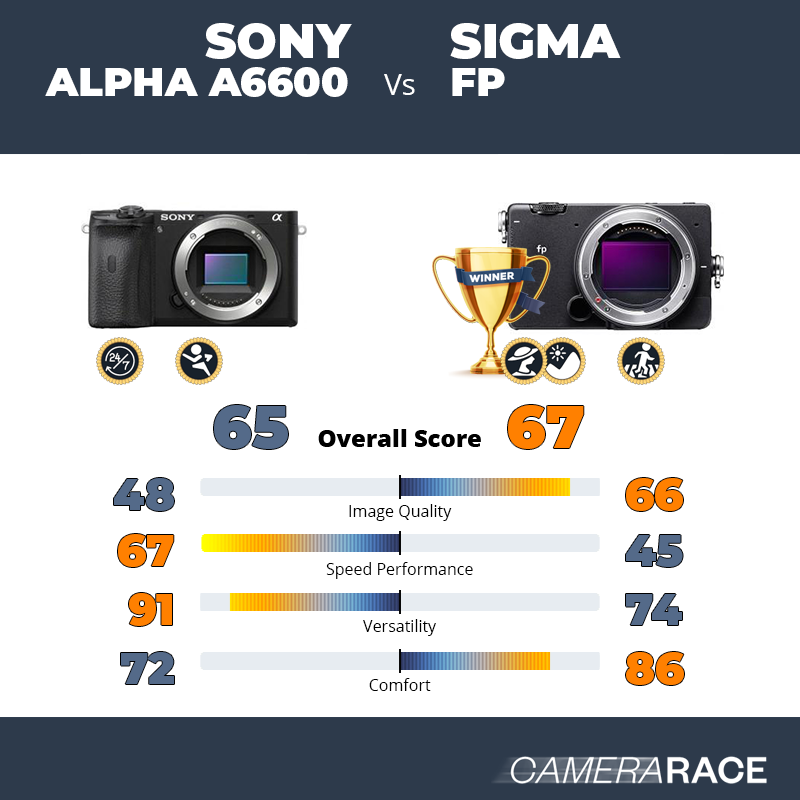 Le Sony Alpha a6600 est-il mieux que le Sigma fp ?