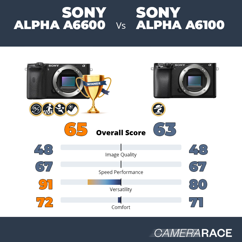 ¿Mejor Sony Alpha a6600 o Sony Alpha a6100?